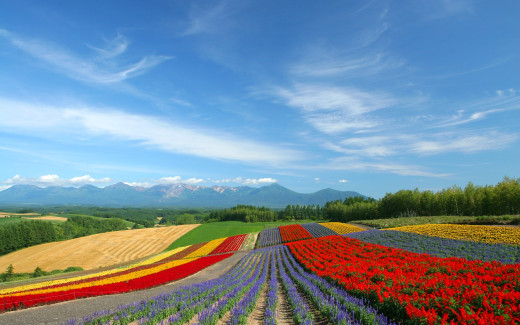 465795 (a): :1920x1200